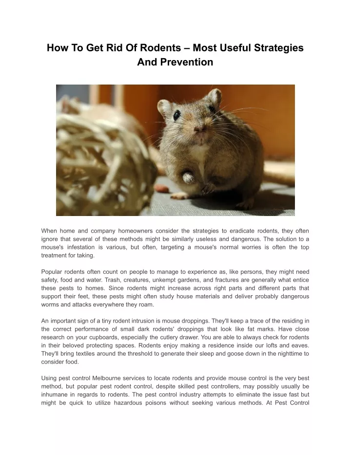how to get rid of rodents most useful strategies
