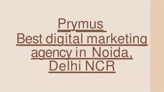 prymus best digital marketing agency in noida