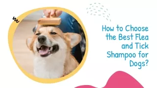 how to choose the best flea and tick shampoo for dogs