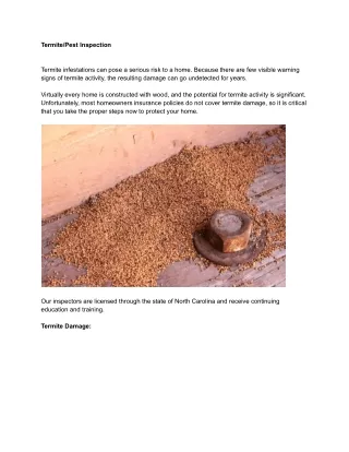 Termite/Pest Inspection - ClearVue Home Inspection