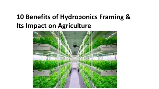 10 Benefits of Hydroponics Framing & Its Impact on Agriculture