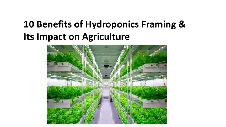 10 benefits of hydroponics framing its impact
