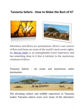 Tanzania Safaris - How to Make the Best of It?