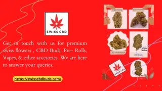 How Does It Feel To Smoke Premium CBD Buds (UK) - swisscbdbuds