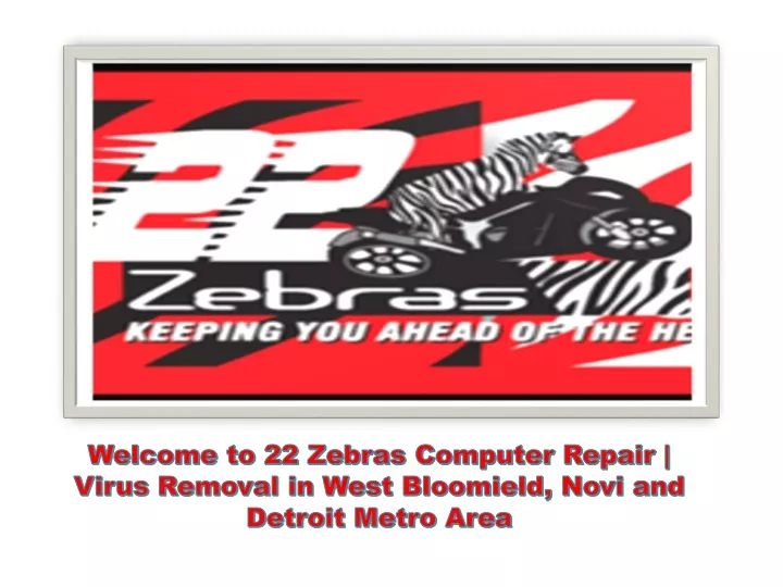 welcome to 22 zebras computer repair virus