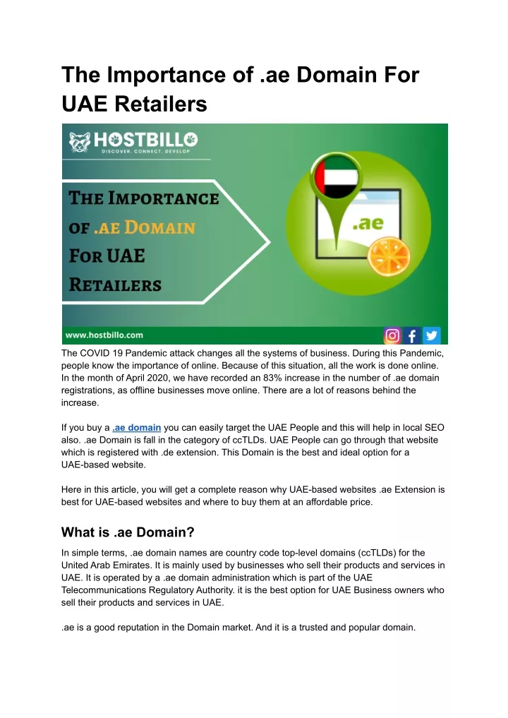 the importance of ae domain for uae retailers