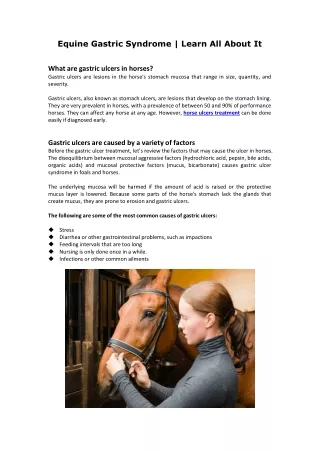 Equine Gastric Syndrome | Learn All About It