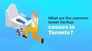 What are the common sewer backup causes in Toronto