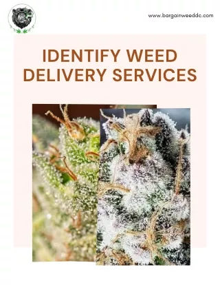 Bargain Weed DC makes the Weed Marijuana Cannabis Delivery Service Easy