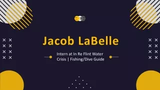 Jacob LaBelle - Remarkably Capable Expert - Ann Arbor, MI