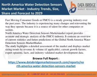 North America Water Detection Sensors Market