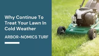 Why Continue To Treat Your Lawn In Cold Weather?