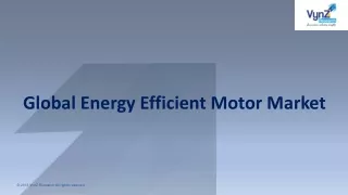 global energy efficient motor market