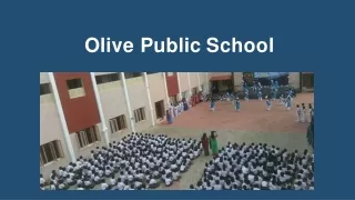 Olive Public School Provides Best Education to Children’s