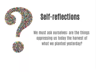 self reflections