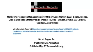 Marketing Resource Management (MRM) Software Market