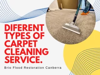 diferent types of carpet cleaning service