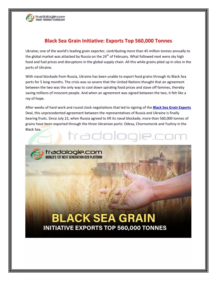 black sea grain initiative exports