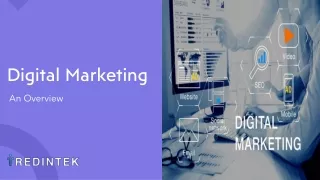 Redintek - Digital Marketing Company in India