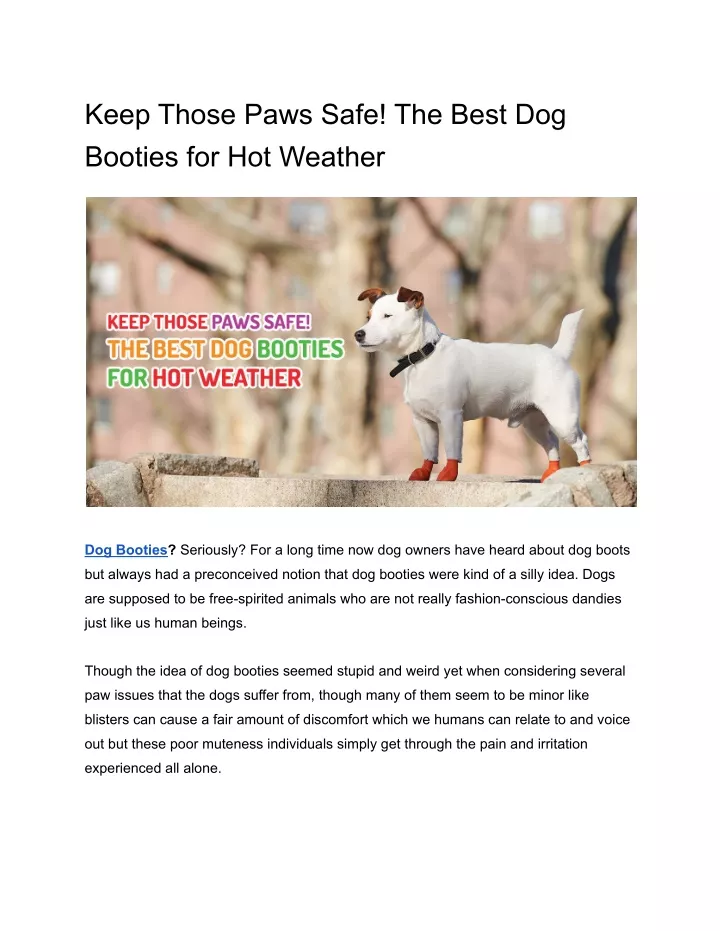 keep those paws safe the best dog booties