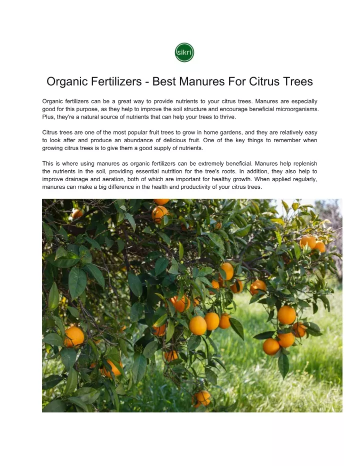 organic fertilizers best manures for citrus trees