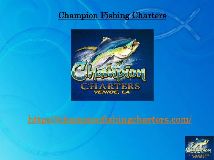 champion fishing charters