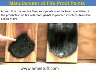 Manufacturer of Fire Proof Paints, Fire Retardant Paint  in India