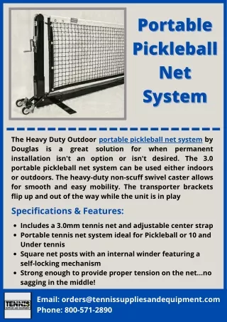 portable portable pickleball pickleball