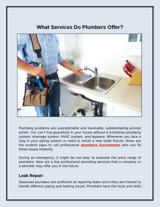 what services do plumbers offer