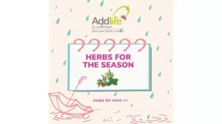 Herbs for Rainy Season