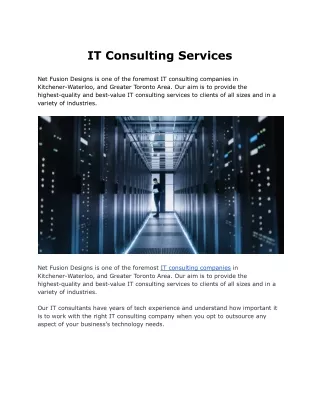 IT Consulting Services | Net Fusion Designs
