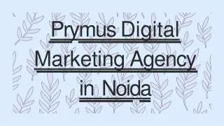 prymus digital marketing agency in noida
