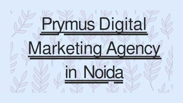 prymus digital marketing agency in noida