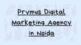 prymus digital marketing agency in noida