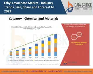 ethyl levulinate market industry trends size