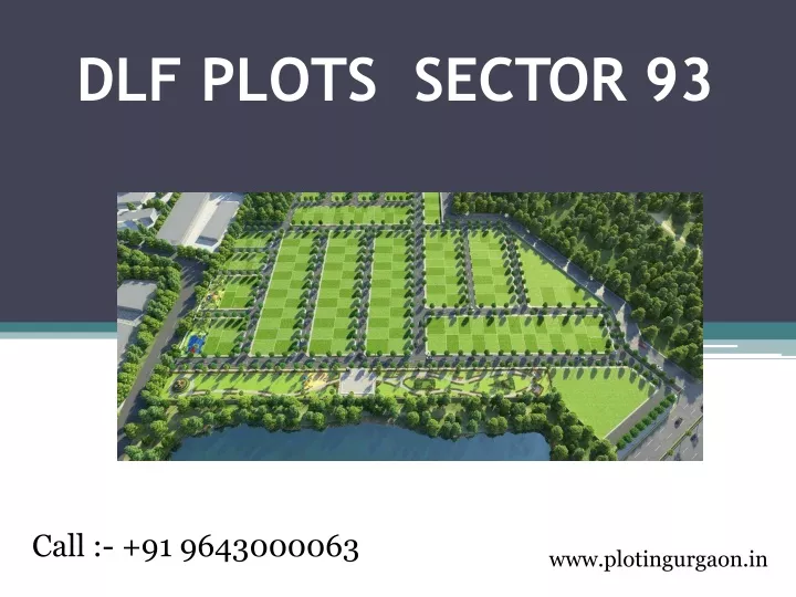 dlf plots sector 93