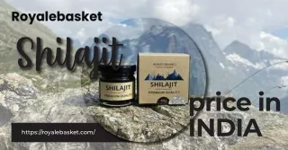 Shilajit Price in India. PDF