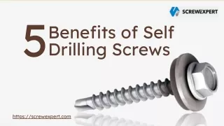 5 Benefits of Self Drilling Screws - Screw Expert