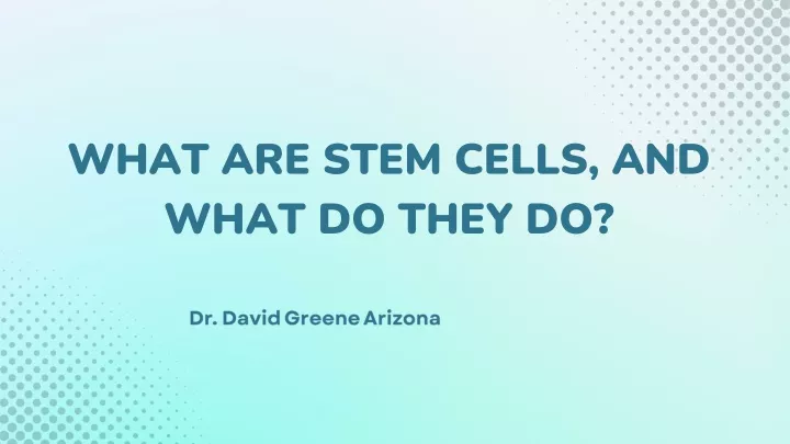 what are stem cells and what do they do