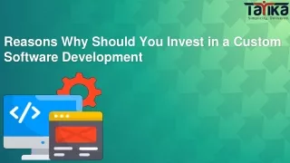 reasons why should you invest in a custom software development