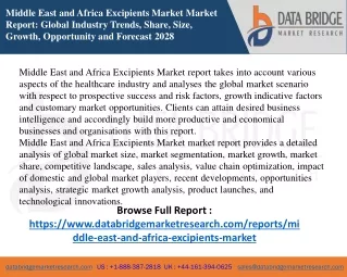 Middle East and Africa Excipients Market