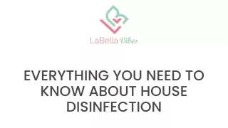 Everything You Need to Know About House Disinfection