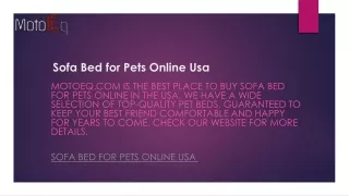 Sofa Bed for Pets Online Usa  Motoeq.com