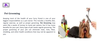 Get The Professional Pet Grooming Services In Georgia