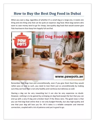 How to Buy the Best Dog Food in Dubai