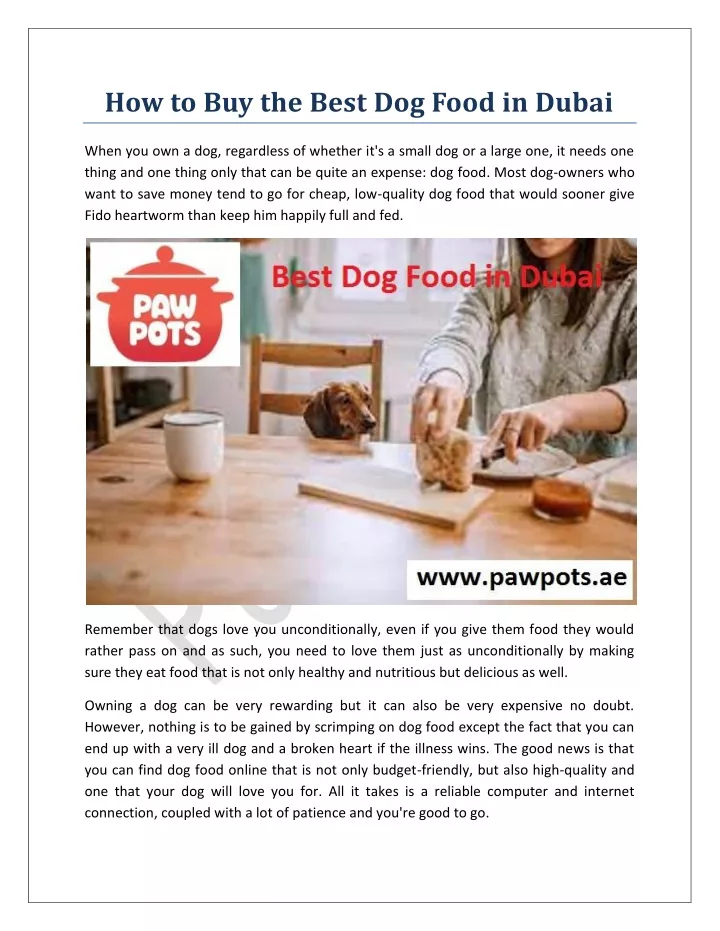 how to buy the best dog food in dubai