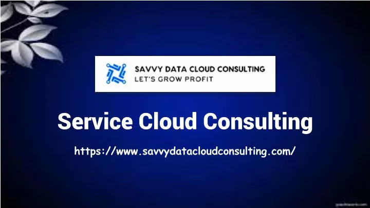 https www savvydatacloudconsulting com