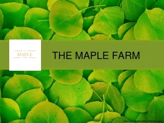 The Maple Farm: Best Resort near Delhi NCR