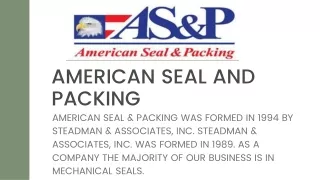 Industrial Mixer seals products with Mechanical seals