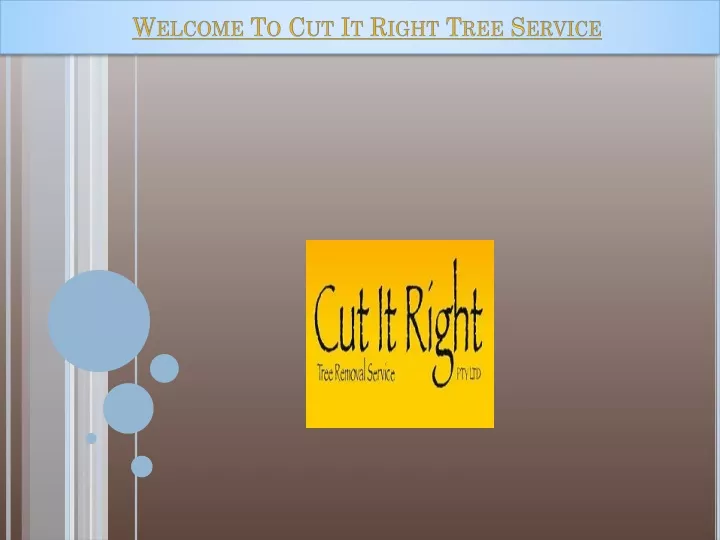 welcome to cut it right tree service